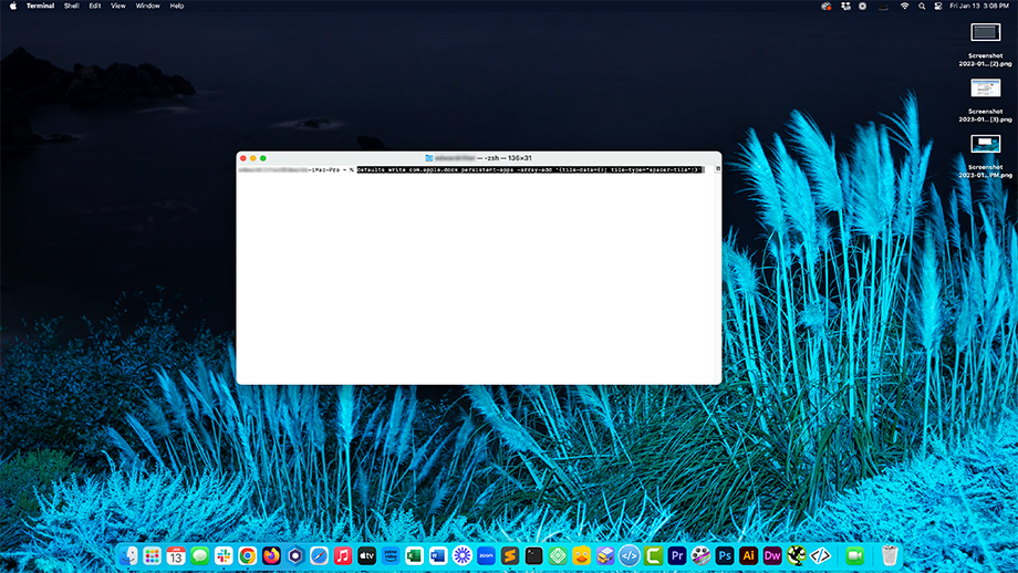 Terminal